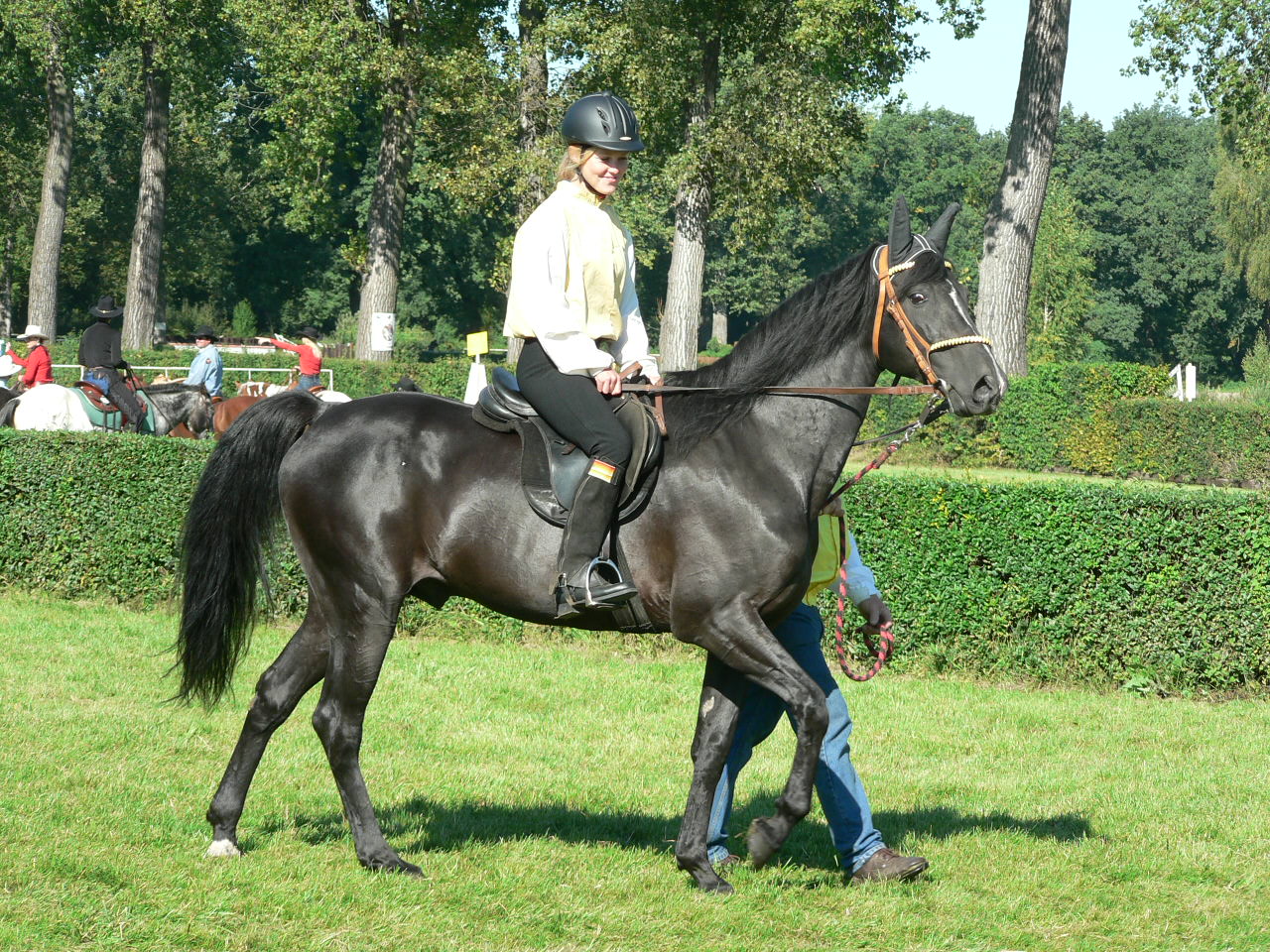 Kůň v akci 2006 038.jpg